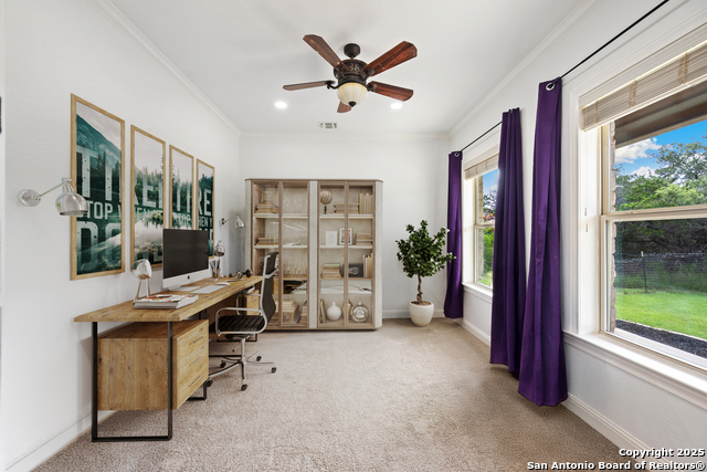 15311 Escarpment Oak, Helotes, Texas image 17
