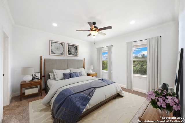 15311 Escarpment Oak, Helotes, Texas image 22