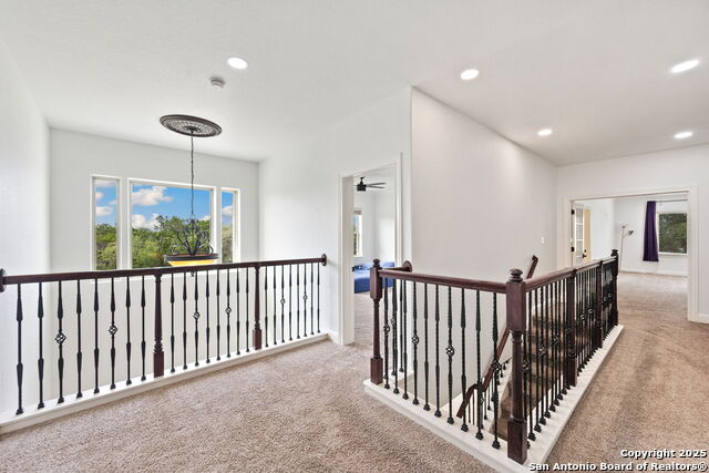 15311 Escarpment Oak, Helotes, Texas image 49