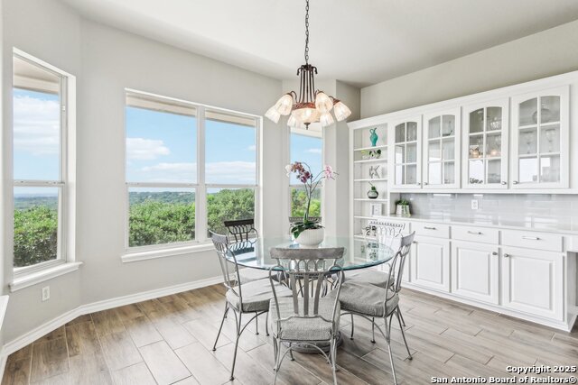 15636 Escarpment Oak, Helotes, Texas image 11