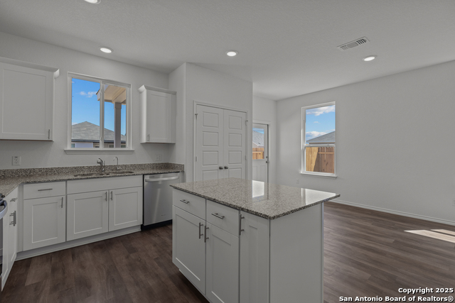 870 Bluegrass Pt, New Braunfels, Texas image 13