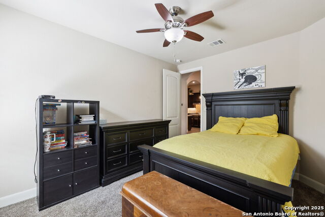 32232 Tamarind, Bulverde, Texas image 30