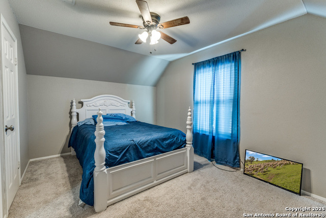 289 Deer Slayer, Seguin, Texas image 13