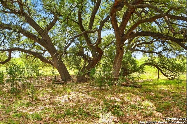344 Cr 341, Knippa, Texas image 9