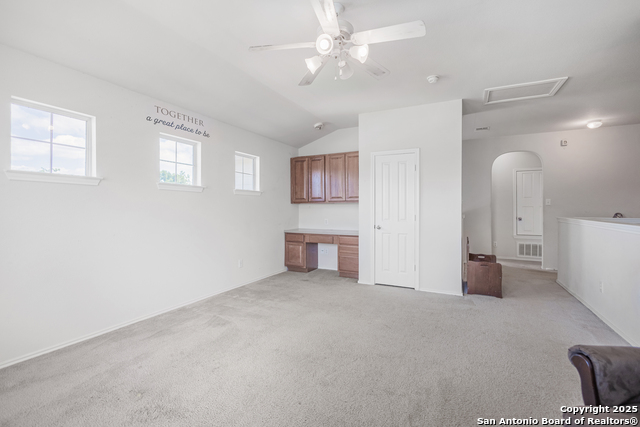 1258 Sandhill Crane, New Braunfels, Texas image 14