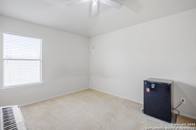 1258 Sandhill Crane, New Braunfels, Texas image 16