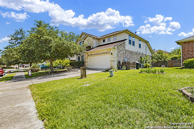 1258 Sandhill Crane, New Braunfels, Texas image 3