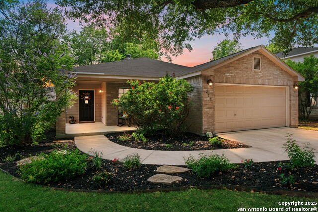 209 Sophia Circle, Boerne, Texas image 1