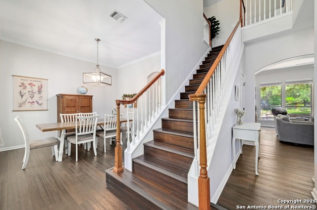 15315 Flying Cir, San Antonio, Texas image 20