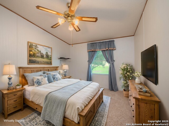 141 County Road 786, Natalia, Texas image 19