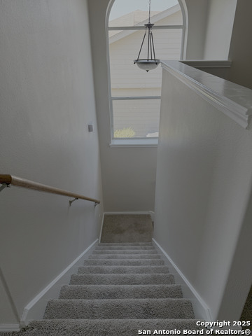 443 Abigail, Converse, Texas image 10