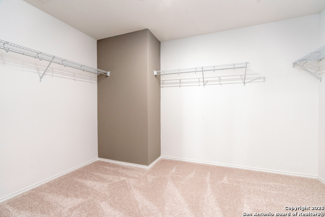 4041 Lily Glade Ln., Seguin, Texas image 24