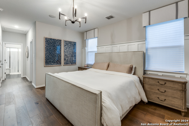 2096 Cowan, New Braunfels, Texas image 18