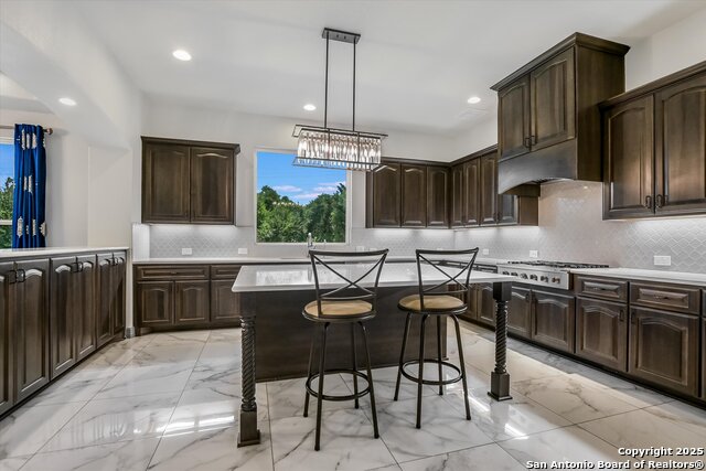 427 Bella Montagna Circle, Austin, Texas image 14