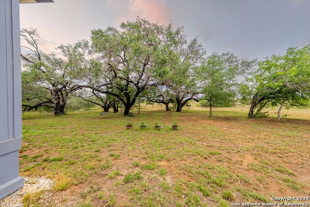 1145 Postert Ln, Floresville, Texas image 29