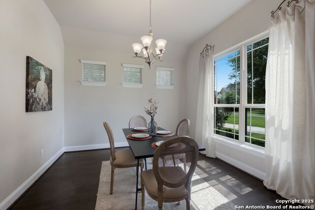 211 Champion, Boerne, Texas image 5