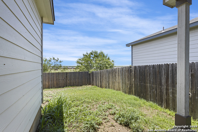 3857 Ivy Path, Saint Hedwig, Texas image 19
