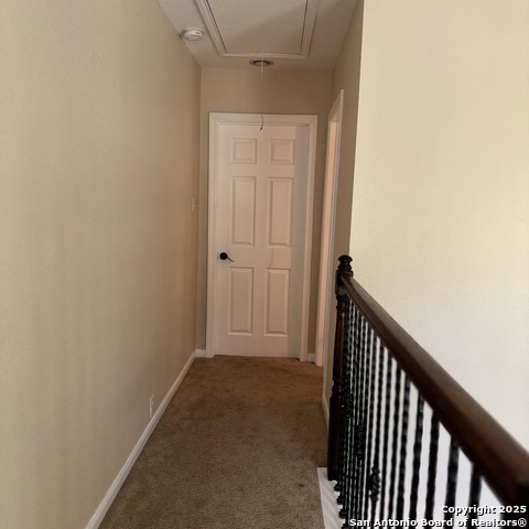 19023 Sherwood, Helotes, Texas image 35