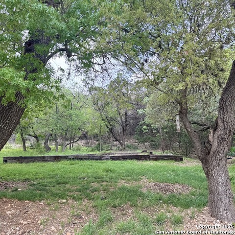 19023 Sherwood, Helotes, Texas image 48