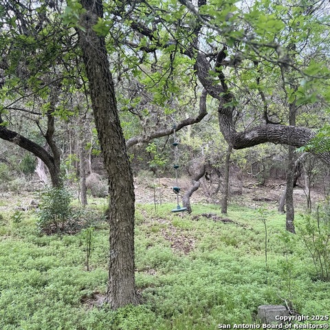 19023 Sherwood, Helotes, Texas image 49