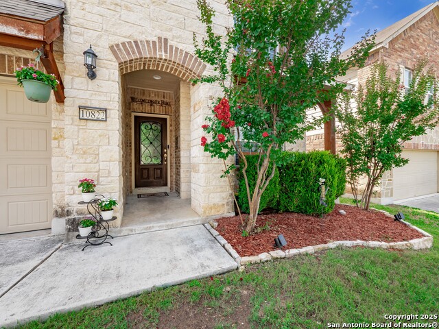 10822 Red Sage, Helotes, Texas image 2