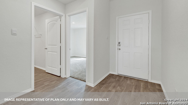 319 Honeydew Way, Seguin, Texas image 3