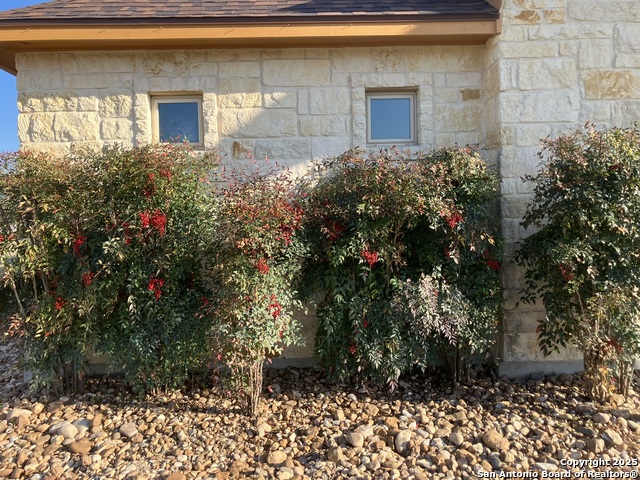 129 S Abrego Crossing, Floresville, Texas image 34