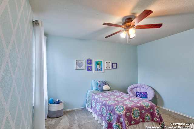 331 Primrose, New Braunfels, Texas image 29
