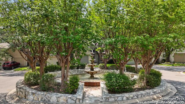 13043 Trent, San Antonio, Texas image 43