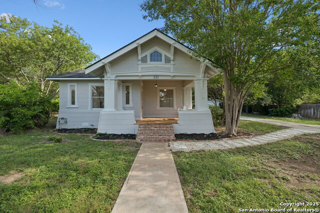 233 May Street, Castroville, Texas image 1