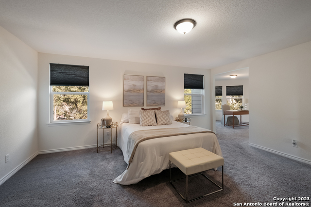 22418 Peonia Park, San Antonio, Texas image 19
