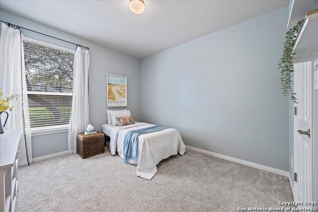 25627 Spirea, San Antonio, Texas image 15