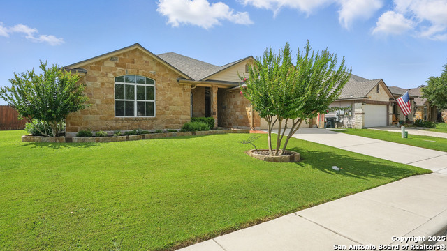 878 Avery, New Braunfels, Texas image 1