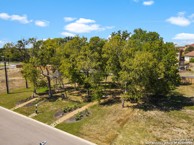 9302 Graze Land Drive, San Antonio, Texas image 22