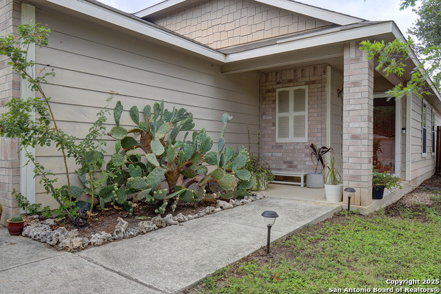 11907 Pure Silver, San Antonio, Texas image 3