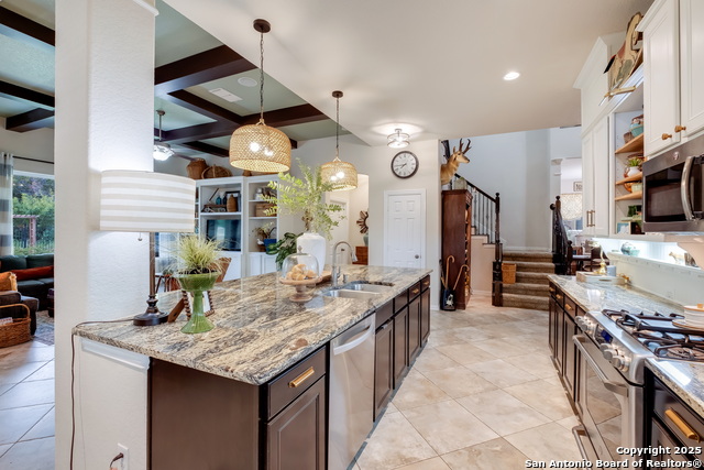 10627 Larch Grove Ct, Helotes, Texas image 8