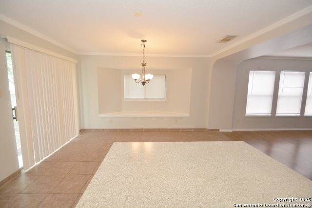 426 Twin Point, Schertz, Texas image 5
