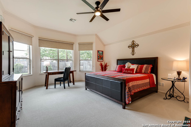 24915 Kiowa Crk, San Antonio, Texas image 17