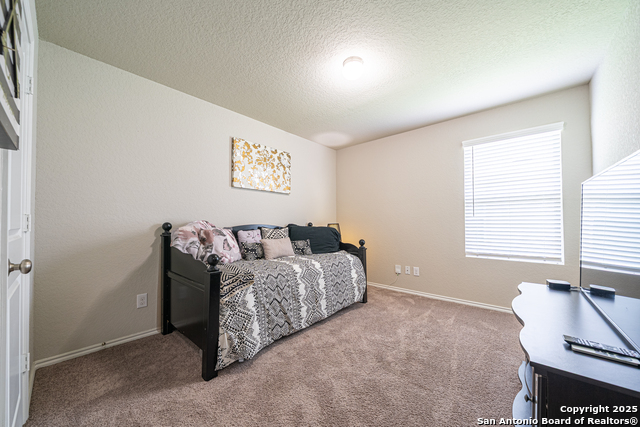 8411 Terlingua Cv, Converse, Texas image 21