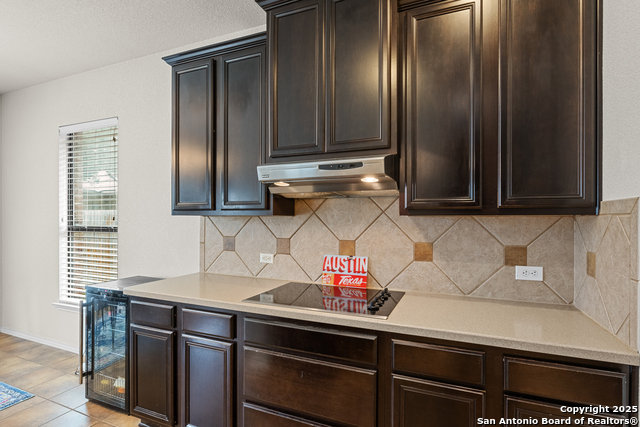 9815 Leubeck Ranch, Helotes, Texas image 12
