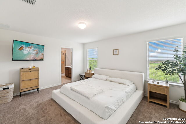 3507 Silver Set, San Antonio, Texas image 40