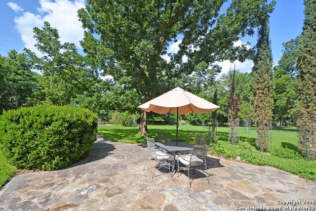 325 Fair, New Braunfels, Texas image 39