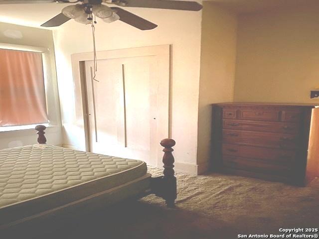 224 Vine, San Antonio, Texas image 12