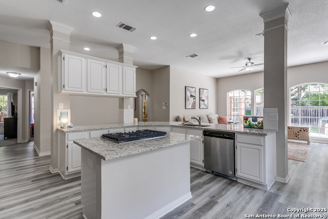 13019 Rambling Oak, San Antonio, Texas image 13