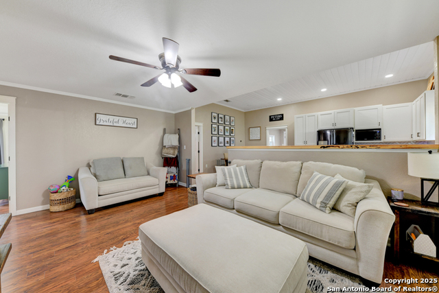 3685 Stapper, Saint Hedwig, Texas image 6