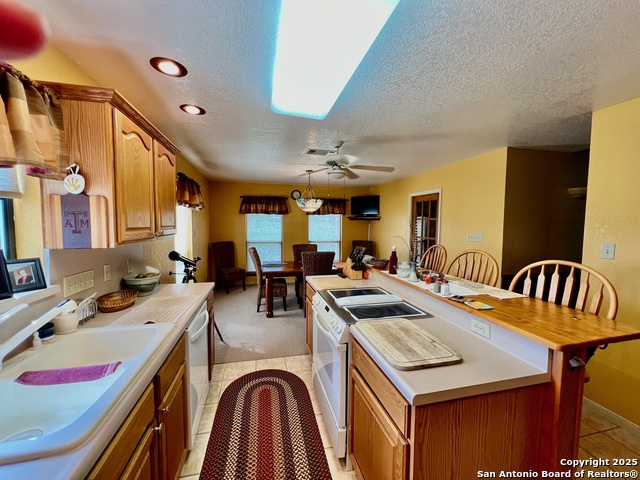 375 Bluntzer Rd, Jourdanton, Texas image 10