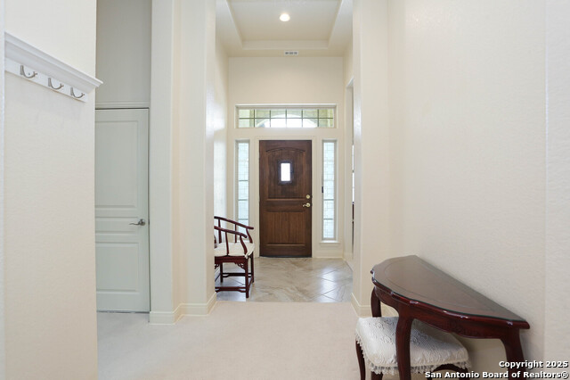 1024 Sophie Marie, Schertz, Texas image 3