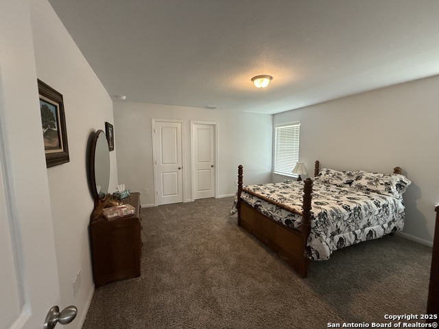 8967 Hazel Birch, Elmendorf, Texas image 10