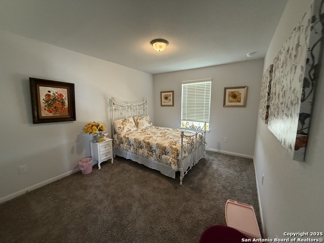 8967 Hazel Birch, Elmendorf, Texas image 12