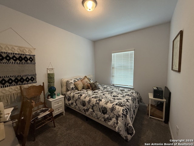 8967 Hazel Birch, Elmendorf, Texas image 14